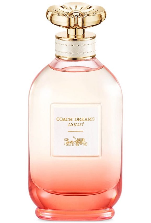 11 Best Perfumes for Girls 2023 • Ventvenir