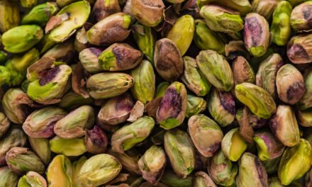 7 Best Pistachio Perfumes 2024